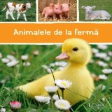 Animalele de la fermă - Paperback - *** - Univers Enciclopedic
