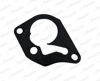 PAYEN KK5643 Garnitura, pompa vacuum foto