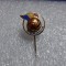 insigna FR Fotbal