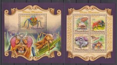 Mozambic 2018 - Insecte - MICROMONSTRII - BL + KB - MNH - Michel 42 Eur. foto