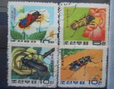 CV2 SERIE KOREEA