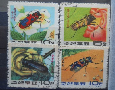 CV2 SERIE KOREEA foto