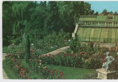 CPI B 11617 CARTE POSTALA - CLUJ. GRADINA BOTANICA
