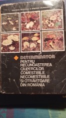 Determinator pentru recunoașterea ciupercilorcomestibile și necomistelor foto