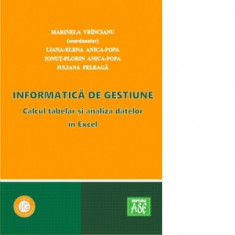 Informatica de Gestiune. Calcul tabelar si analiza datelor in Excel - Liana Elena Anica Popa, Marinela Vrincianu, Ionut-Florin Anica-Popa, Iuliana Fel