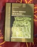 Adrian Bucurescu - Tainele tablitelor de la Sinaia