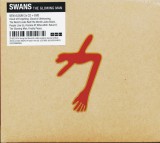 2xCD + DVD Swans - The Glowing Man 2016, Rock, universal records