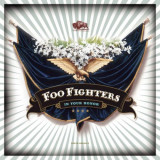 Foo Fighters In Your Honour 120g LP (2vinyl)