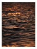 Tablou Canvas, "Lumina aurie pe valurile mării", Aur, Apus, Valuri, Reflexii, Calm, Ocean, Scintilație, Lumină, Textură, Apă, 26 x 39 cm, CMCLASS