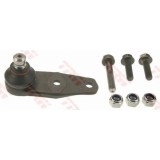 Pivot TRW - Dacia Nissan Renault Garage AutoRide