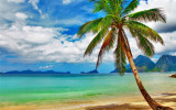 Cumpara ieftin Fototapet autocolant Plaja cu palmier, 250 x 200 cm