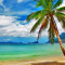 Autocolant Plaja cu palmier, 220 x 135 cm