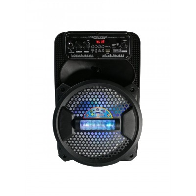 Boxa Portabila elSales, ELS-A0-806A, cu Bluetooth, USB, Microfon, Cititor Card, Telecomanda, Lumini LED foto