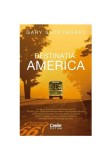 Destinatia: America - Gary Shteyngart - Corint