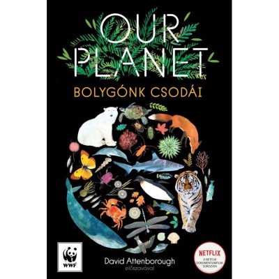 Our Planet - Bolyg&amp;oacute;nk csod&amp;aacute;i - Matt Whyman foto