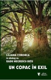 Un copac in exil - Liliana Corobca, Radu Negrescu-Sutu