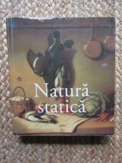 Natura Statica - Album Arta, Editura Aquila, 2008, 255 p., 16x14.5 cm