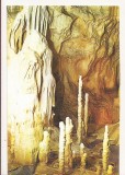 RF83 - Carte Postala - Pestera Ursilor - Chiscau, Jud Bihor, necirculata