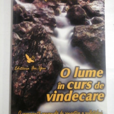 O lume in curs de vindecare (O experienta personala de renastere a sufletului) - Ron BAKER