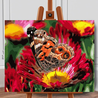 Set pictura pe numere (panza) Fluture in camp de anemone 40x50 cm foto