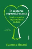 Cumpara ieftin In cautarea copacului-mama. Sa descoperim intelepciunea padurii/Suzanne Simard
