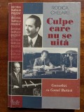 Culpe care nu se uita - Convorbiri cu Cornel Burtica - Rodica Chelaru