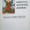 SFANTUL APOSTOL ANDREI-SABIN VERZAN-238767