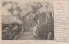 Ceylon / Sri Lanka 1902 , Carte Postala Circulata , Native Huts, Printata