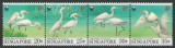 Singapore 1993 Mi 705/08 strip MNH - WWF: Egreta chinezeasca, Nestampilat