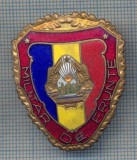 AX 65 INSIGNA MILITARA - ,,MILITAR DE FRUNTE&quot; - PENTRU COLECTIONARI