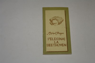 Pelerinaj la Beethoven - Richard Wagner foto
