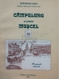 Gheorghe Chita - Campulung si judetul Muscel (editia 2000)