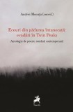 Ecouri din pădurea &icirc;ntunecată: evadări &icirc;n Twin Peaks - Paperback brosat - Andrei Mocuța - Tracus Arte