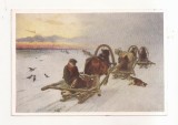 FA121 -Carte Postala- RUSIA - I. Pryanishnikov. Empty Sladges , circulata 1967