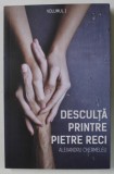 DESCULTA PRINTRE PIETRE RECI de ALEXANDRU CHERMELEU , VOLUMUL I , 2018