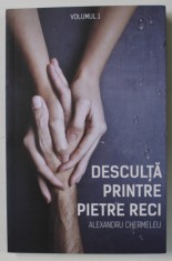 DESCULTA PRINTRE PIETRE RECI de ALEXANDRU CHERMELEU , VOLUMUL I , 2018 foto