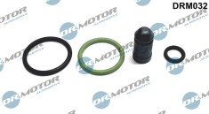 Chit Reparatie,Unitate Pompa-Diuza 244090 DRM032