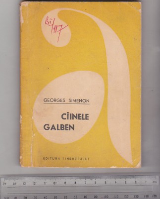 bnk ant Georges Simenon - Cainele galben foto