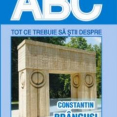 ABC tot ce trebuie sa stii despre Constantin Brancusi