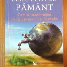 LEAC PENTRU PAMANT. CUM SA TRANSFORMAM TOXINELE PERSONALE SI DE MEDIU de SANDRA INGERMAN 2010