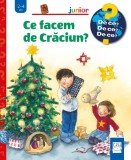 Cumpara ieftin Ce Facem De Craciun?, Andrea Erne - Editura Casa