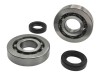 Set de rulmenti si simeringuri pentru scutere Piaggio Typhoon 50 Gilera 50 Vespa NRG Italjet, Oem