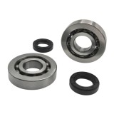 Set de rulmenti si simeringuri pentru scutere Piaggio Typhoon 50 Gilera 50 Vespa NRG Italjet