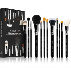 Sigma Beauty Essential set perii machiaj