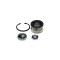 Set rulment roata CITROEN JUMPER platou sasiu 244 BTA H1C016BTA