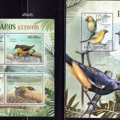 MOZAMBIC 2012, Fauna, Pasari, serie neuzată, MNH