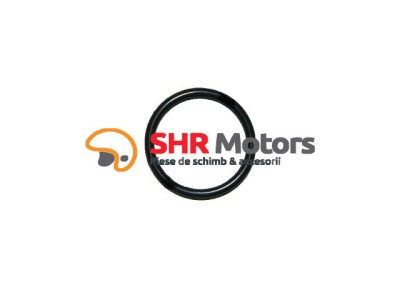 11. O-ring 24x2.5 CF Moto 500 foto