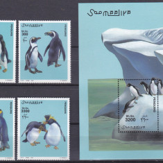 DB1 Fauna Pasari Somalia Pinguini 4 v. + SS MNH
