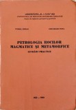 PETROLOGIA ROCILOR MAGMATICE SI METAMORFICE-V. ERHAN, G. POPA