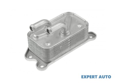 Radiator ulei Volvo S80 1 (1998-2008)[184] #1 foto